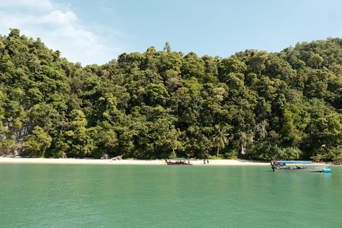 Langkawi : visite privée de 2 heures dans la mangrove avec transfert depuis l&#039;hôtelGroupe de 6 personnes (par bateau)