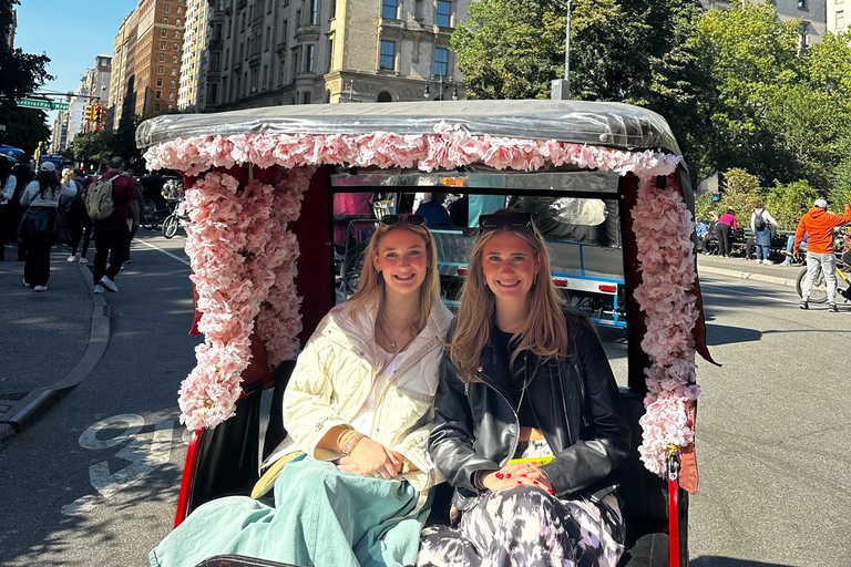 NYC : Visite guidée de Central Park en cyclo-pousse