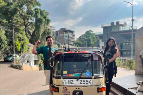 Kandy: Guided City Tour/Temple of the Tooth & Tea Factory