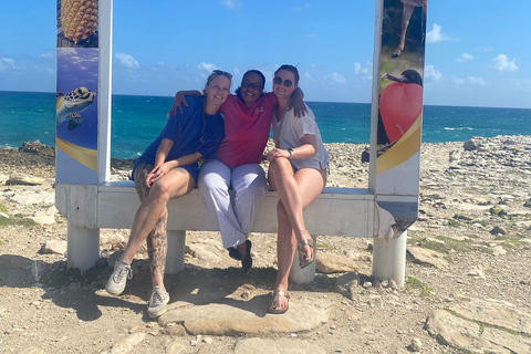 St.John's, Antigua: Stingray City & Long Bay Shore Excursion