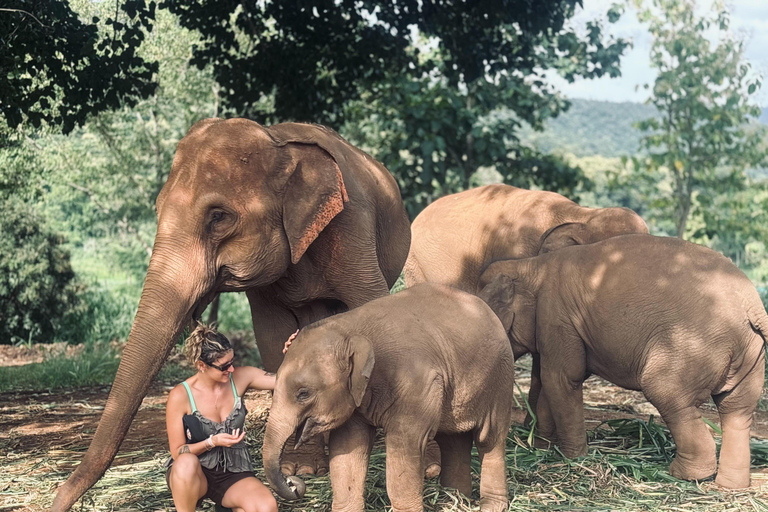 Chiang Mai: Elephant Sanctuary & Thai Cooking Workshop Meeting Point In Town
