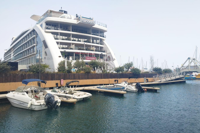 Gibraltar: Day Trip with Guide in german and english Gibraltar: Day Trip with dolphin Tour in german and english