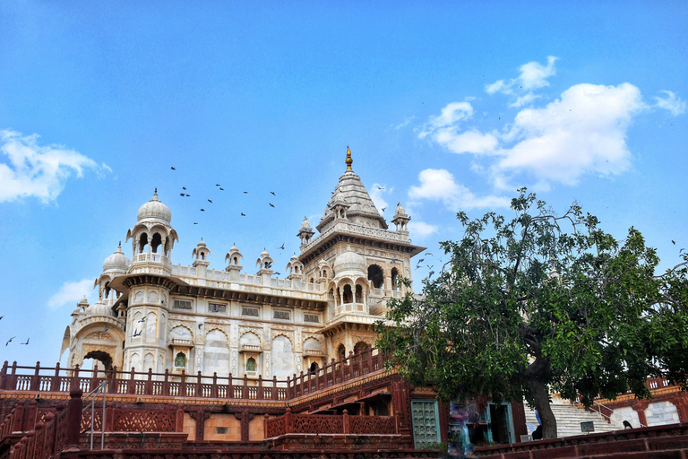 Au départ d&#039;Agra : Circuit de 5 jours au Rajasthan avec Ranthambore