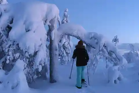 Experiencia en la Granja de Renos del Ártico con Raquetas de Nieve en la Naturaleza