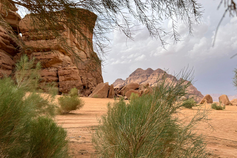 Wadi Rum: One Day One Night Private Jeep Tour with Bedouin Wadi Rum: Private 4x4 Tour with Bedouin Meal and Overnight …