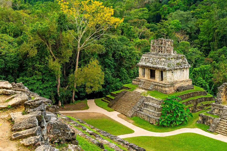 Z CDMX: Puebla, Oaxaca, Veracruz, Chiapas, Villahermosa 9 DNI