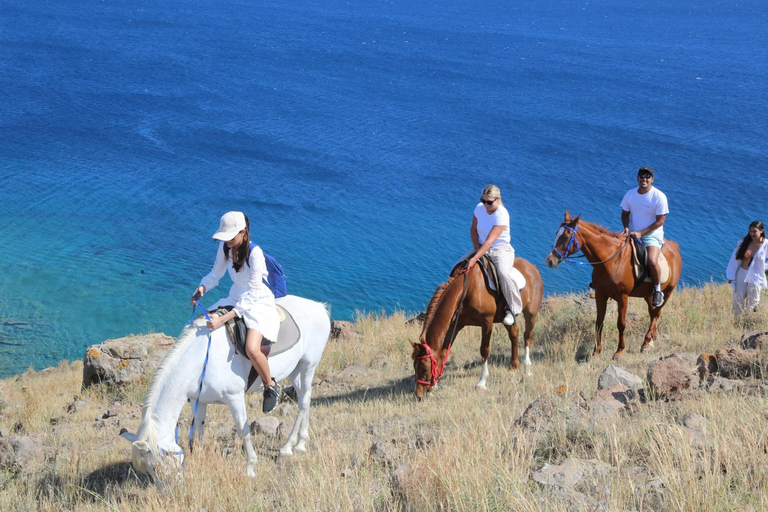 Bodrum Horse Riding Adventure