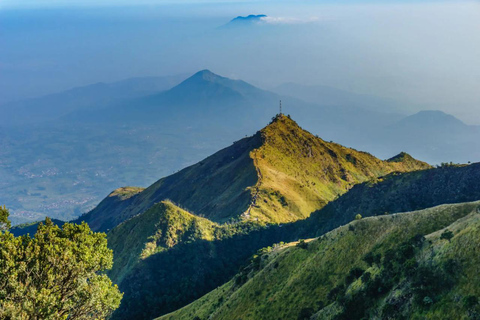 Yogyakarta: Escursione all'alba sul Monte Merbabu - Gita di un giorno intero
