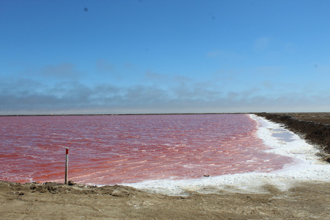 Tour privato del porto di Sandwich in 4x4 con pranzo - Walvis Bay