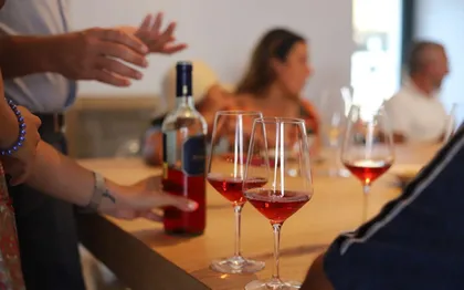Bari oder Matera: Geführte Tour durch Trani und Weingut-Erlebnis Bari oder Matera: Geführte Tour durch Trani und Weingut-Erlebnis