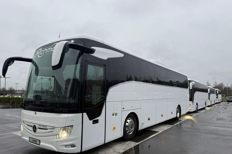 Belfast: Giant's Causeway and Derry Guided Day Trip