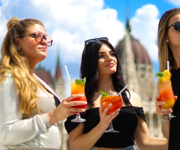 Budapest: Downtown Budapest Cocktail Cruise