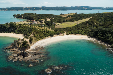 Auckland: Rotoroa Island Rückfähre9:30 Uhr Abreise am Wochenende