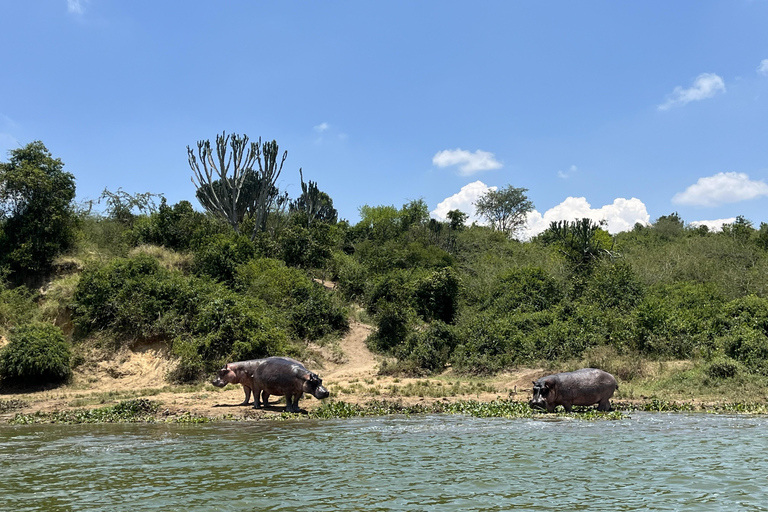 Kasese: 3 Day Queen Elizabeth Classic Safari & Boat Safari