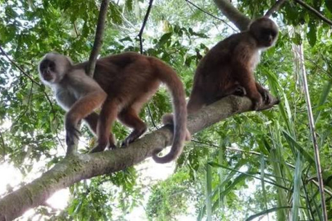 Combo: Iquitos Sightseeing Tour and Monkey Island in 2 Days Combo: Iquitos City Sightseeing Tour and Monkey Island in 2 Days