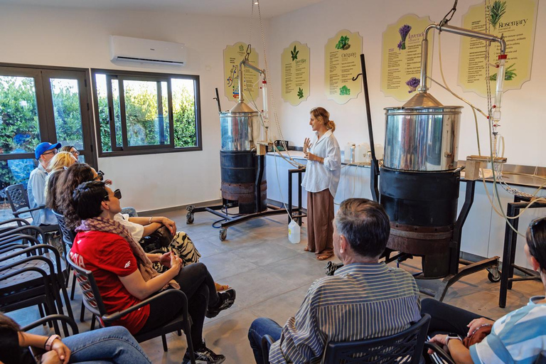 Chypre : Herbes médicinales et aventure dans le labyrintheVisite d'une journée au parc botanique de Cyherbia