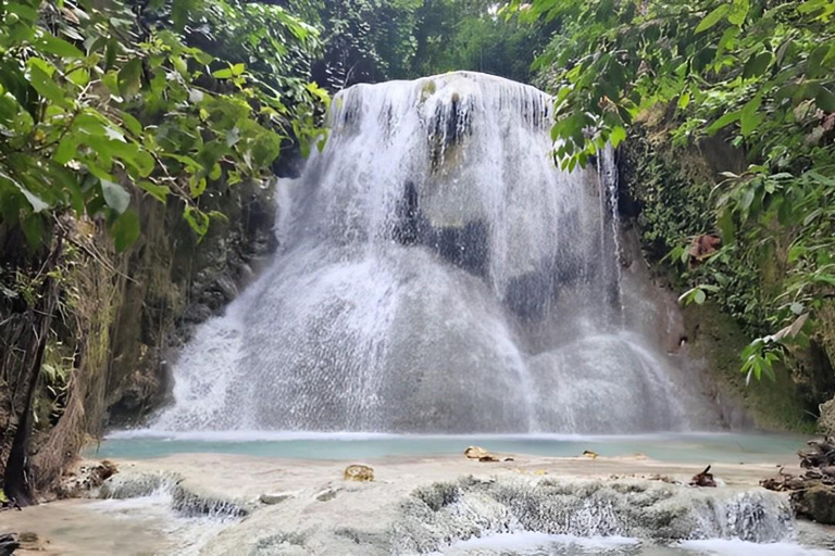 Cebu: Whale Shark Watching and Aguinid Falls Canyoneering …