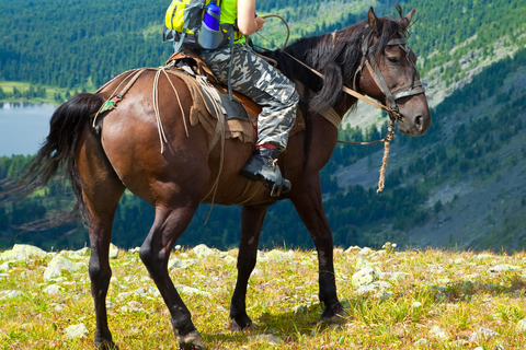 Lucerne: Private Horseback Riding & Swiss Aperitif