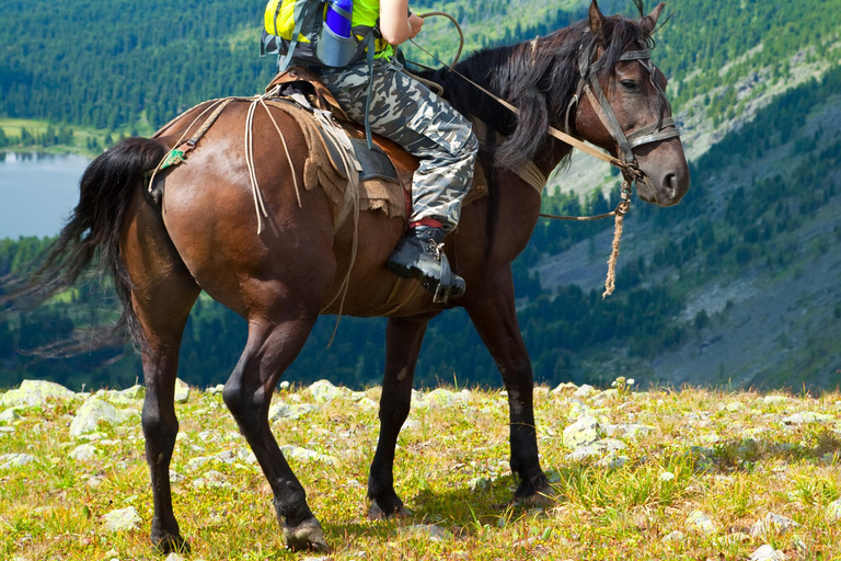 Lucerne: Private Horseback Riding & Swiss Aperitif