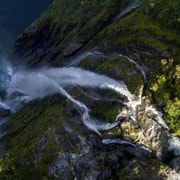 From Te Anau: Milford Sound Premium Bus Tour and Cruise