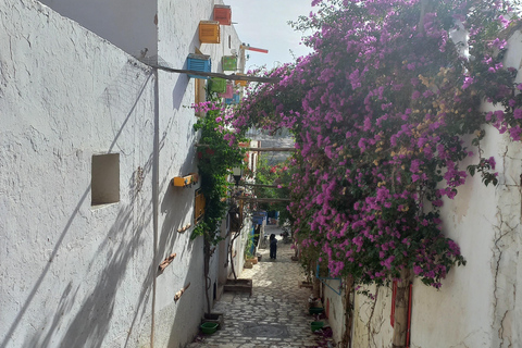 Tunis: Ur tiden Berberbyarna Tekrouna och Zriba Alia