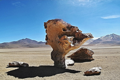 Circuit de 3 jours à Uyuni : Tout compris avec chambres privées