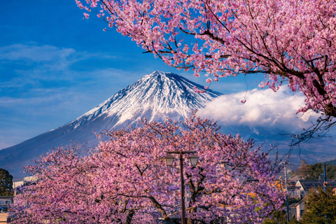 Tokyo: Mt. Fuji Private Scenic Tour with Customizable Stops