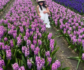Lisse: Privé Tulpenvelden Tour met een lokale gids 1u Tour