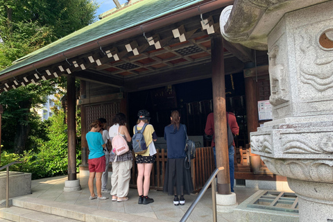 Tour guidato in e-bike della Baia di Tokyo di 3 ore da Tsukiji