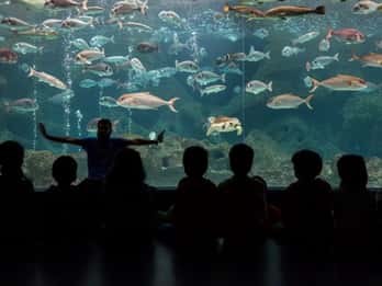 Heraklion: Family Fun Day with Dinosauria and CRETAquarium