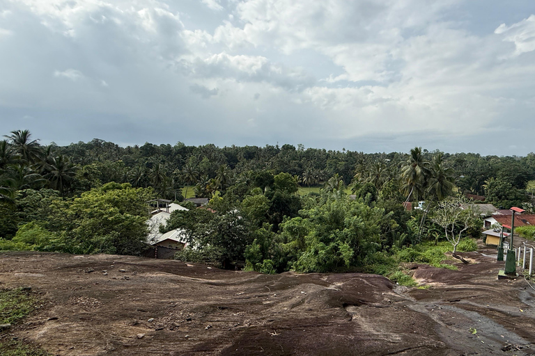 From Colombo: Cave Temples, Jungle Trek & Waterfall Swim