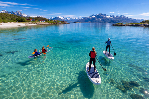 Tromso: Sommaroy Standup Paddleboarding Tromso: Stand-up paddling and salmon picnic on Sommaroy