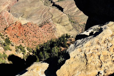 From Phoenix: Grand Canyon and Sedona Oak Creek Day Tour