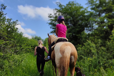 Plitvice: Horseback Riding Tour with Cave Entry Ticket Ride to Barać Caves (Half‑day Horseback Tour)