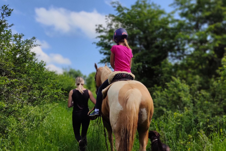 Plitvice: Horseback Riding Tour with Cave Entry Ticket Ride to Barać Caves (Half‑day Horseback Tour)