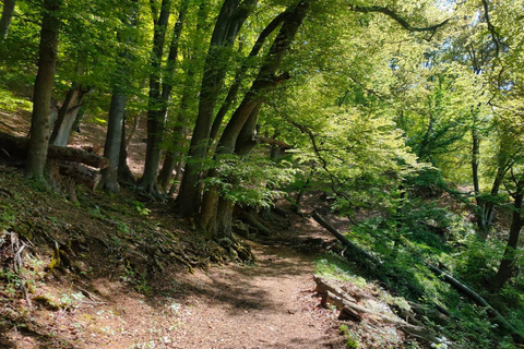 From Sofia: Iskar Gorge Hiking & Skaklya Waterfall Day Trip