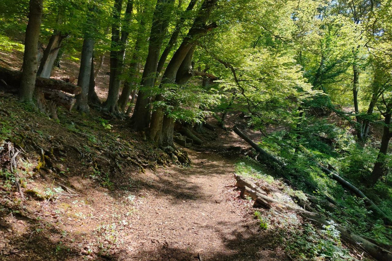 From Sofia: Iskar Gorge Hiking & Skaklya Waterfall Day Trip