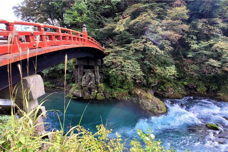 Från Tokyo: Nikko världsarv privat dagsutflykt.