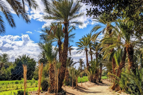 From Agadir: Taroudant and Tiout Oasis Day Trip with Lunch