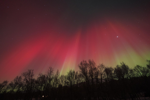 Tromsø: Northern Lights Tour – Unlimited Chase & Free Photos 6-8 Hours, Aurora chase, Comfortable bus, Photos included