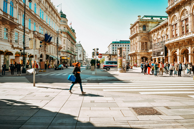 Vienna: City Highlights E-Bike Tour