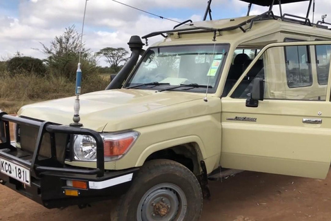 Nairobi National Park: begeleide gamedrive bij zonsopgang of zonsondergang