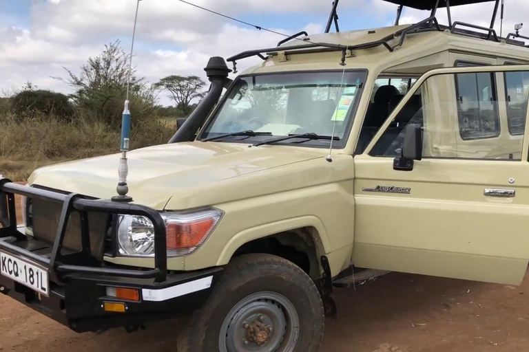 Nairobi National Park: begeleide gamedrive bij zonsopgang of zonsondergang