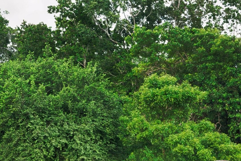 Sigiriya: Hurulu Eco Park Village Lunch Experience