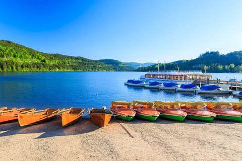 رحلة ليوم واحد إلى الغابة السوداء من ستراسبورغ: بادن بادن والنبيذ