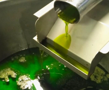 Ascoli Piceno: Olive Oil Tasting with local products