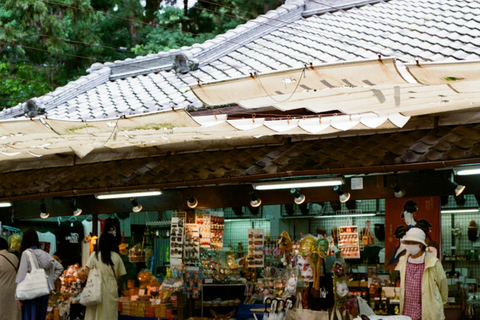 Nara: Deer Park, Todaiji Temple, & Great Buddha Walking Tour Private Tour