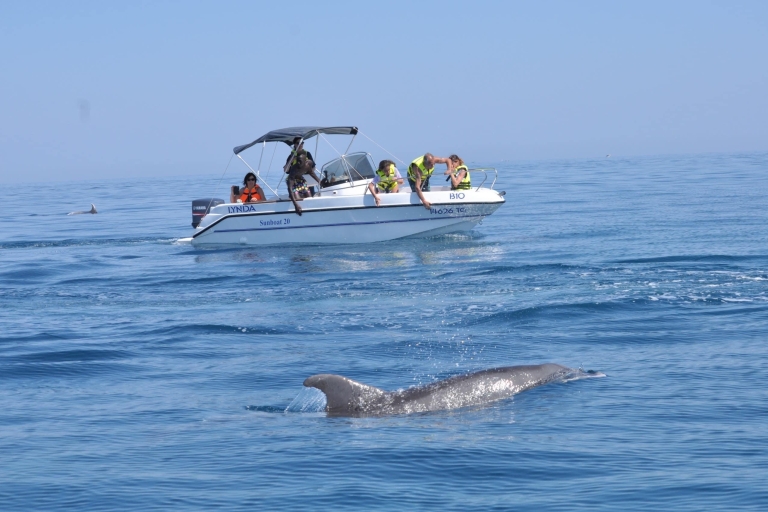 Djerba: Marine Adventure and Dolphin Search by Speedboat Marine Adventure and Dolphin Search by Speedboat 2 hours