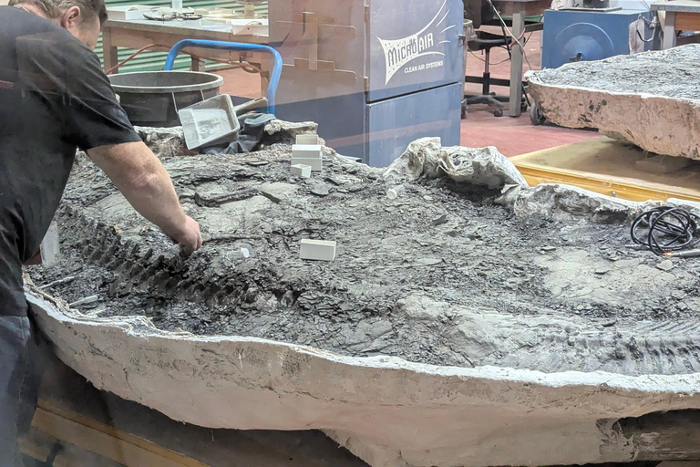 1 Day Drumheller Tour: Calgary to Hoodoos Dinosaurs Badlands 1 Day Private Customizable Drumheller Tour: Calgary Badlands