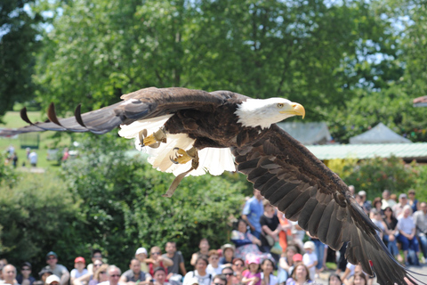 From Geneva: Les Aigles du Léman Park with Hotel Transfers